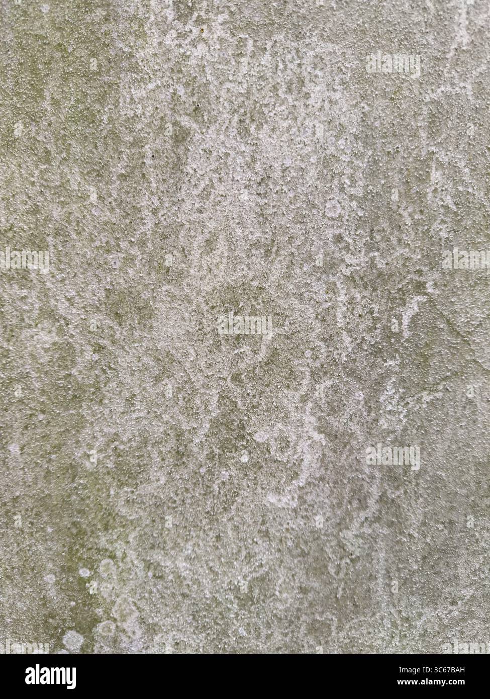 Nahaufnahme einer verwitterten, gerenderten Wand mit Moos und natürlichem Schmutz, wodurch eine detaillierte Textur entsteht, die für Hintergründe oder abstrakte Designs geeignet ist. - Smartphone-aufgenommenes Stockfoto