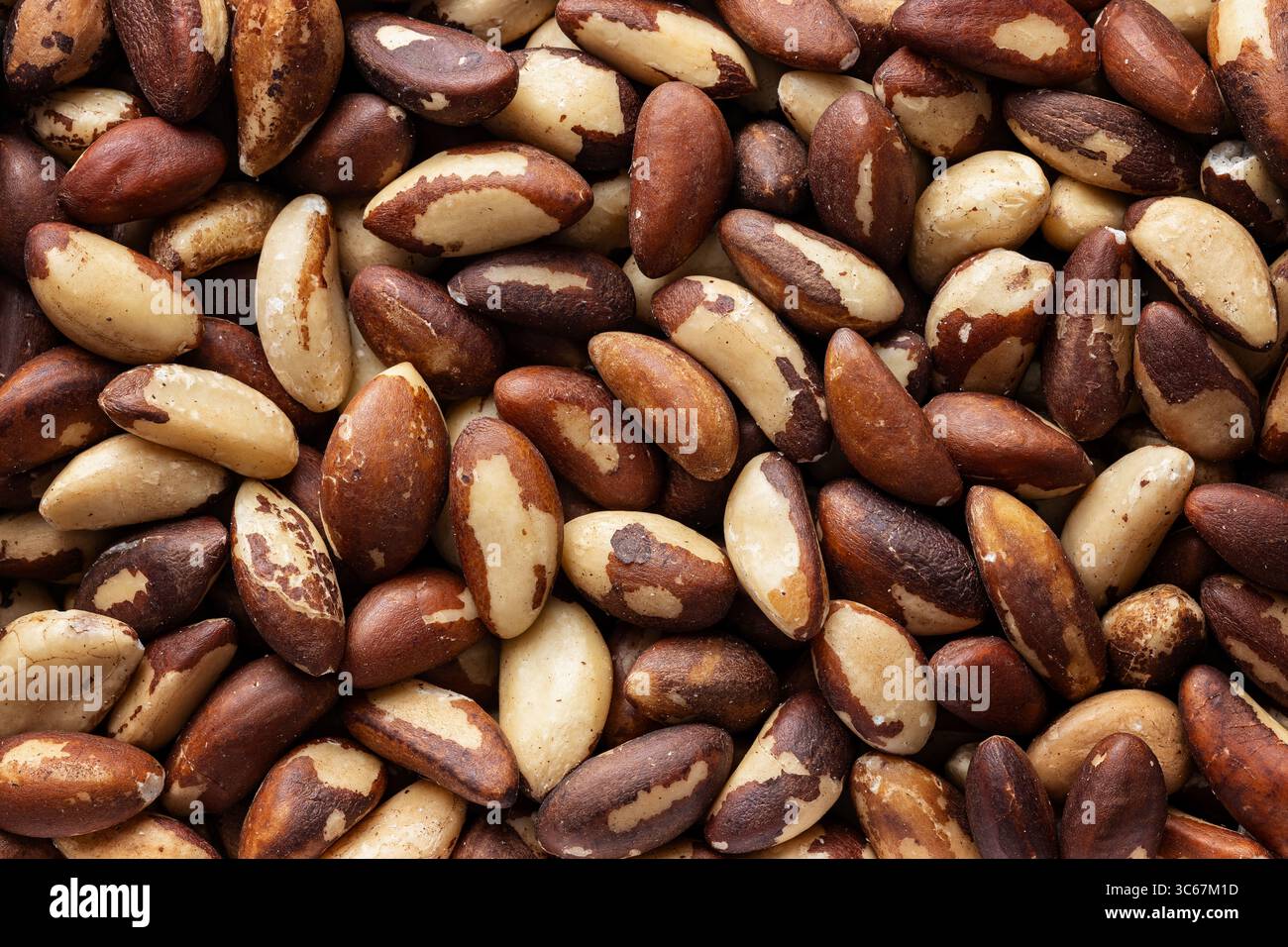 Voller Rahmen köstlicher roher Paranüsse ohne Schalen Stockfoto