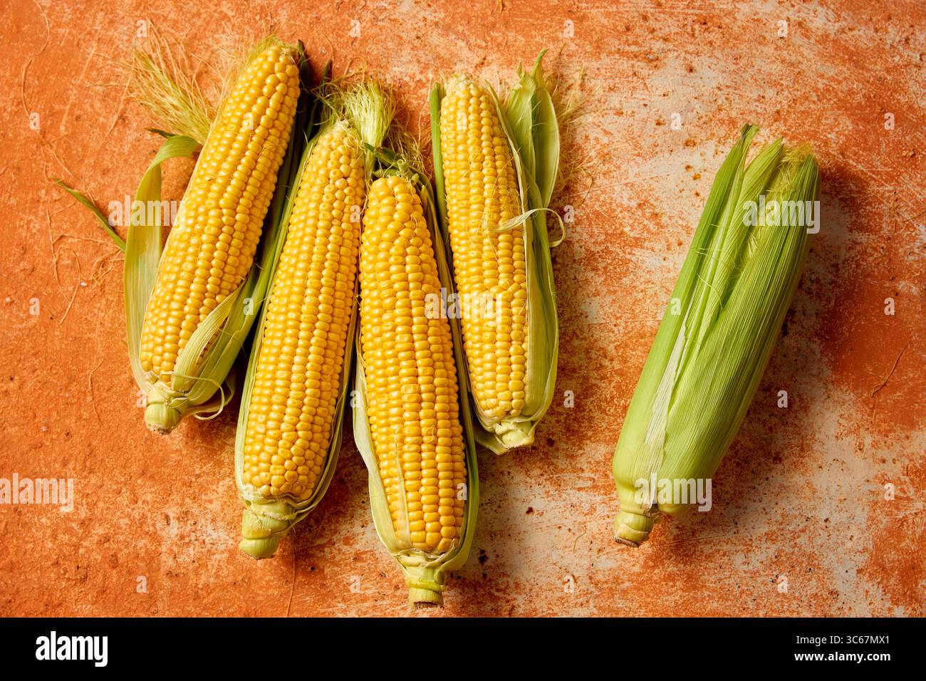 Frischer Mais auf dem Kolben mit Schalen auf einer rustikalen Oberfläche Stockfoto
