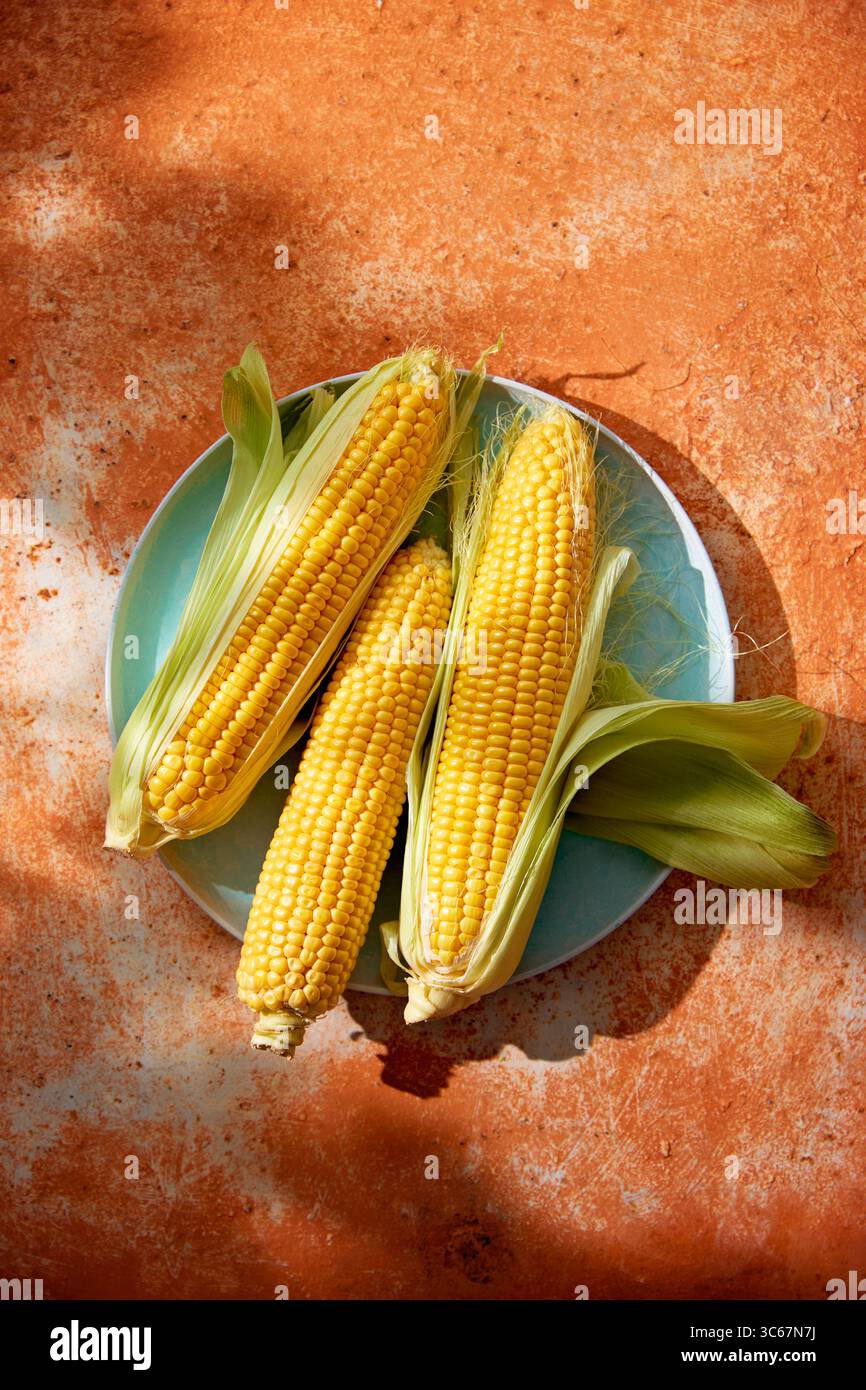 Frischer Mais auf dem Kolben auf einer rustikalen Oberfläche Stockfoto