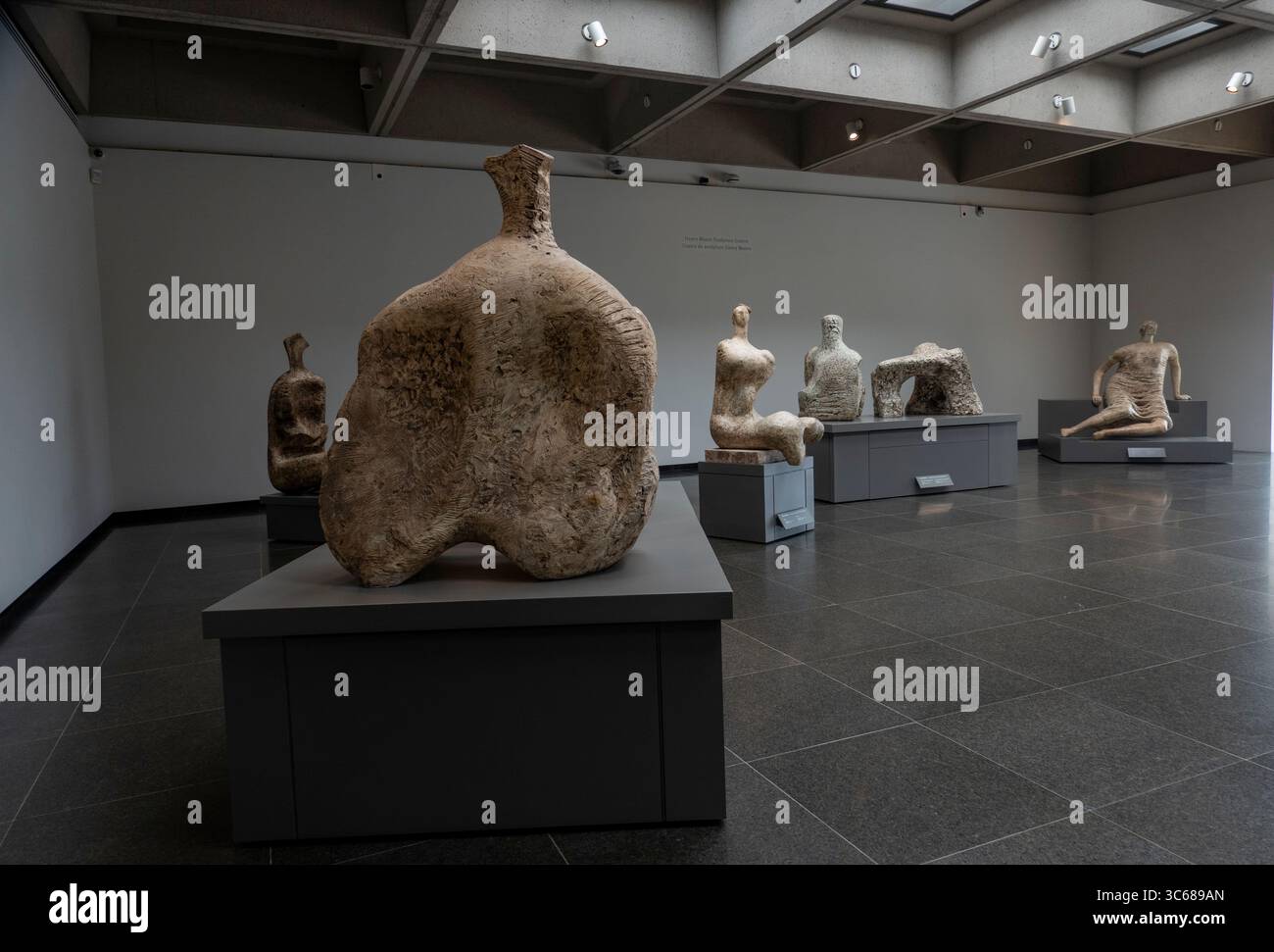 Royal Ontario Museum im Queens Park in Toronto, Kanada Stockfoto