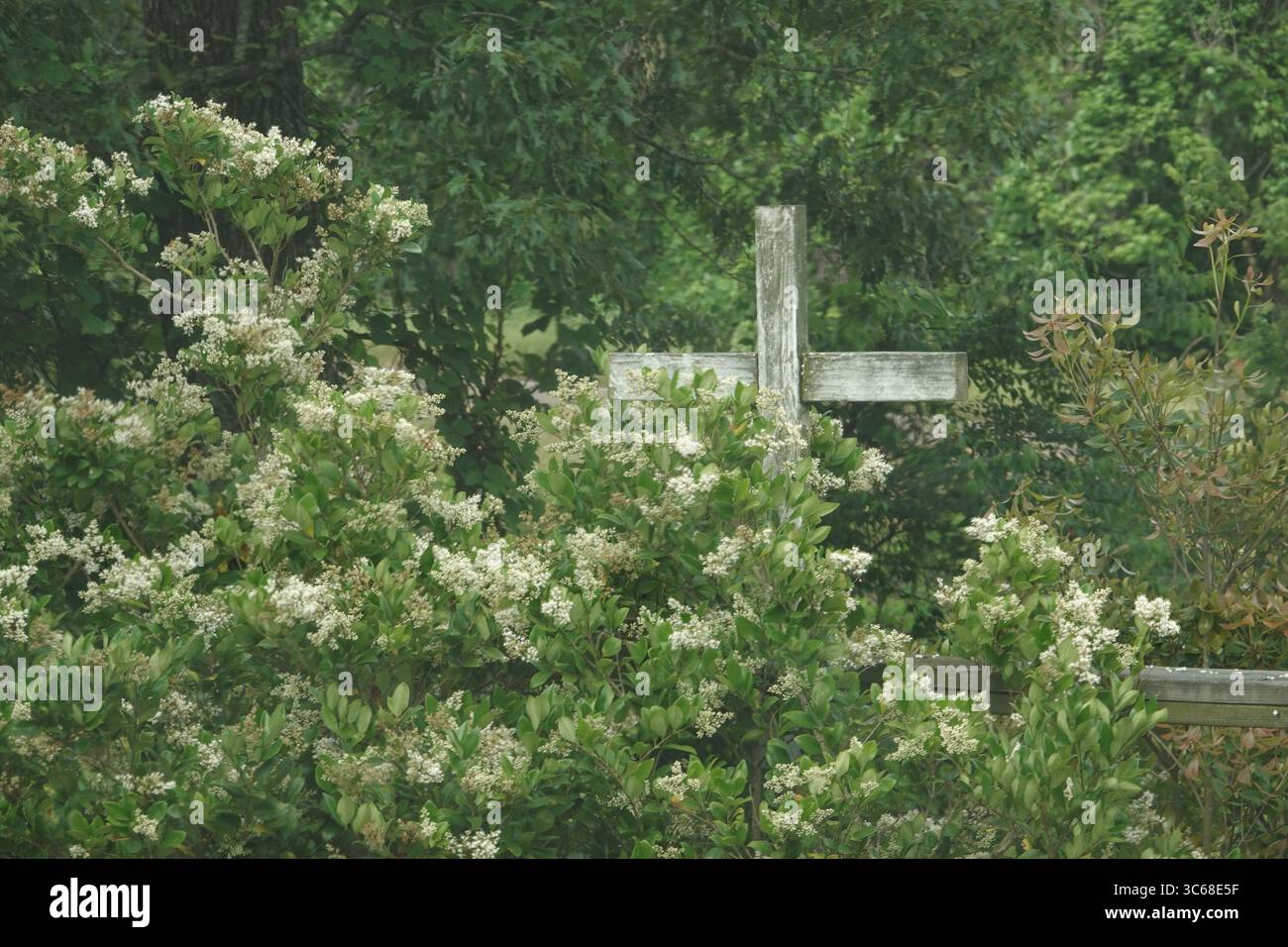 24. Mai 2020, Memphis, Tennessee, USA: Niemand war am Sonntagmorgen, 24. Mai 2020, in der ERSTEN PFINGSTKIRCHE in Holly Springs, Mississippi. Die Kirche brannte in einem Feuer in der Woche und wird jetzt wegen Brandstiftung ermittelt. Die Kirche reichte vor etwa einem Monat eine Klage ein, in der sie die cityÃs-Beschränkungen für Versammlungen in Frage stellte. Eine falsch geschriebene Nachricht auf dem Parkplatz: Ã’Wet you stay home now you hypokrites.Ã“ die Kirche liegt nahe der Grenze zu Süd-Tennessee (Credit Image: © Karen Focht/ZUMA Wire) Stockfoto