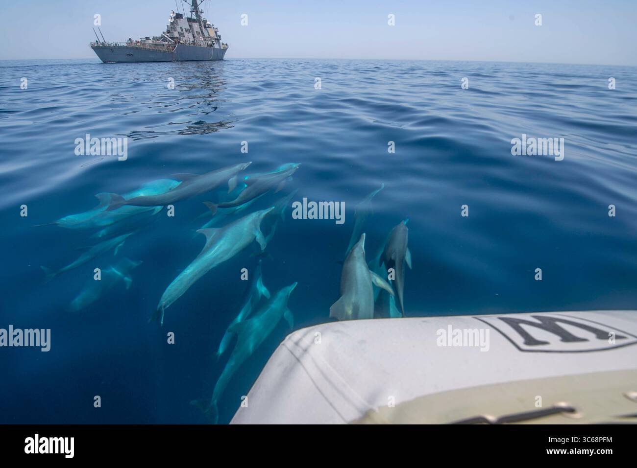 9. März 2020 - Arabischer Golf - Delfine reisen mit dem Raketenzerstörer USS Paul Hamilton (DDG 60), 17. Mai 2020. Paul Hamilton wird in das Einsatzgebiet der 5. US-Flotte eingesetzt, um Marineoperationen zu unterstützen, um die Stabilität und Sicherheit des Seeverkehrs in der Zentralregion zu gewährleisten, indem es das Mittelmeer und den Pazifik durch den westlichen Indischen Ozean und drei strategische Drosselpunkte verbindet. (Kreditbild: © U.S. Navy/ZUMA Wire/ZUMAPRESS.com) Stockfoto