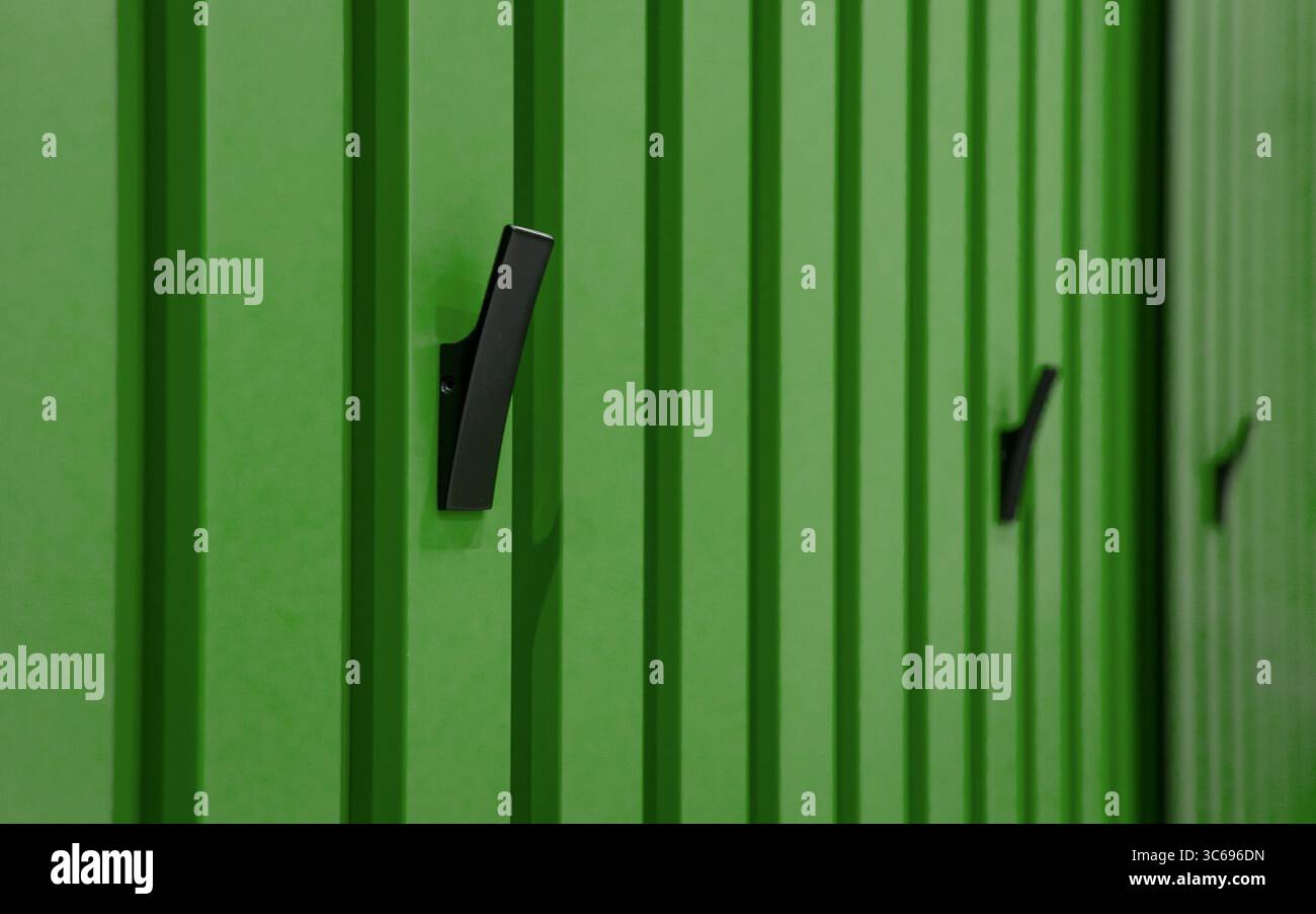Grüne Wand mit schwarzen Hängehaken. Wandverkleidung mit vertikalen Dielen und Reihe schwarzer Metallhaken. Stockfoto