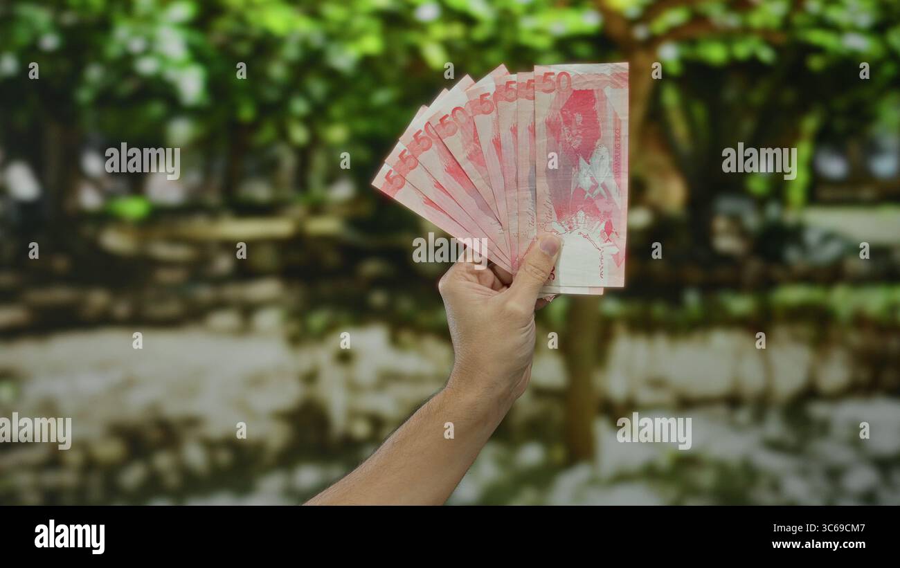 Halten Sie mehrere rote 50-Peso-Banknoten im Freien in einem Park, und heben Sie die philippinische Währung vor der lebendigen grünen Kulisse der Natur mit einem Caucas hervor Stockfoto