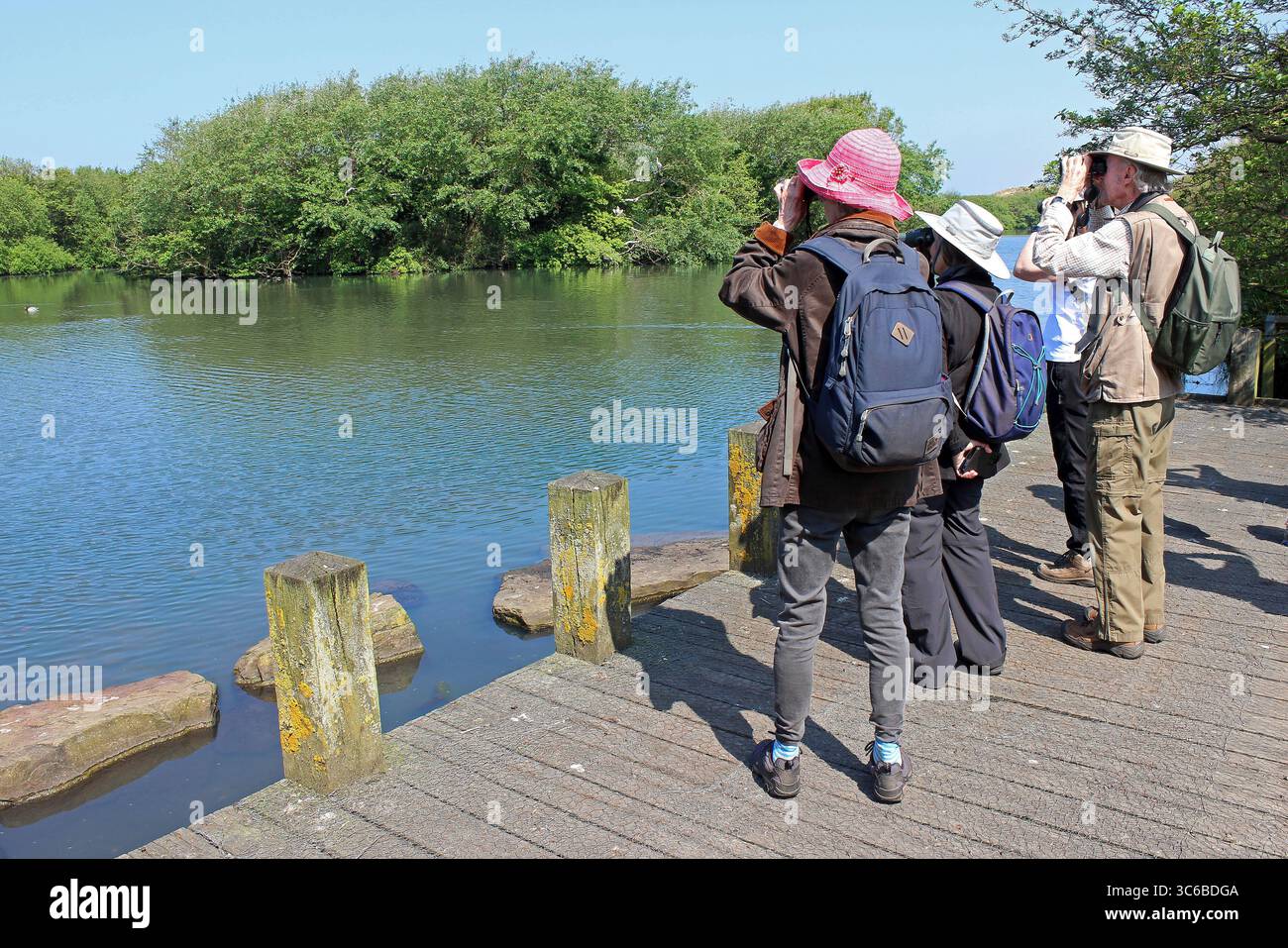 Gruppe von Senior Birdwatchers in Sands Lake, Ainsdale, Sefton Coast, Großbritannien Stockfoto