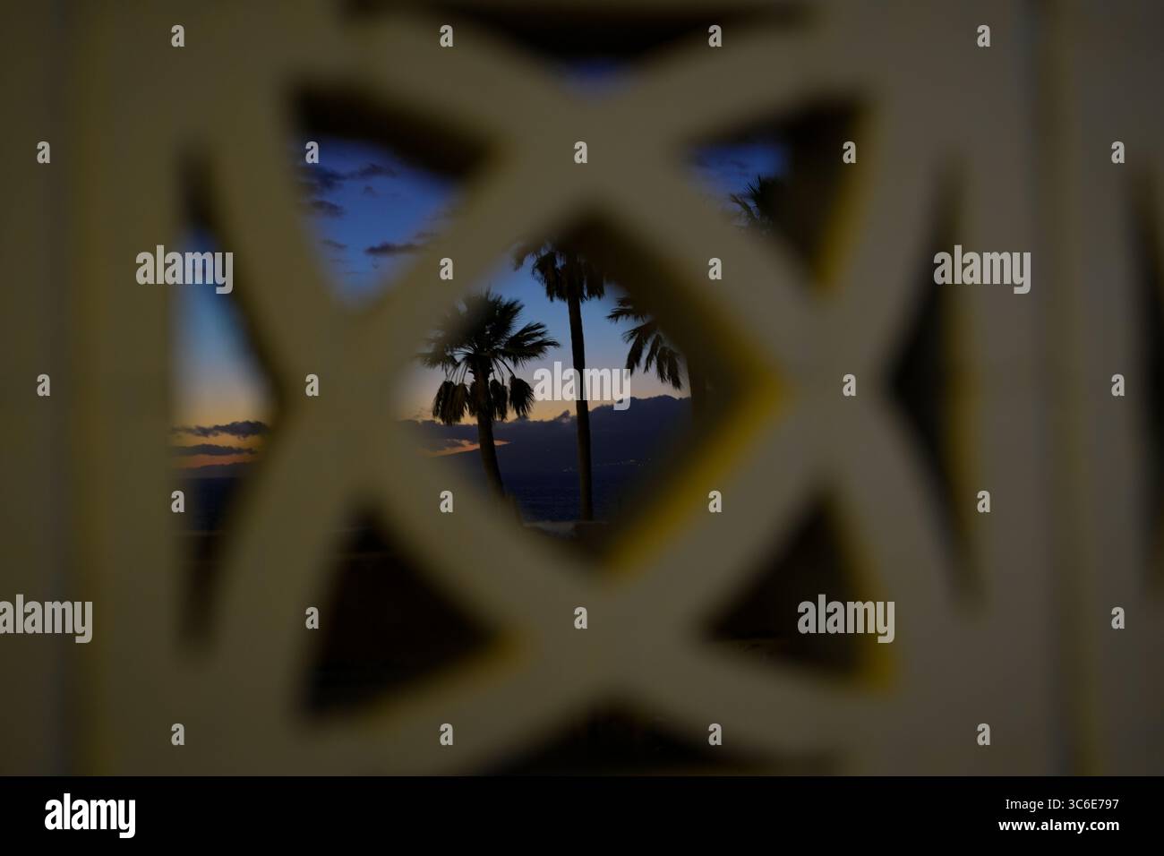 Palmen in der Abenddämmerung durch geometrische Zaunmuster, die einen tropischen Sonnenuntergang über dem Ozean mit sanften Farben und stimmungsvollen Schatten einfangen Stockfoto