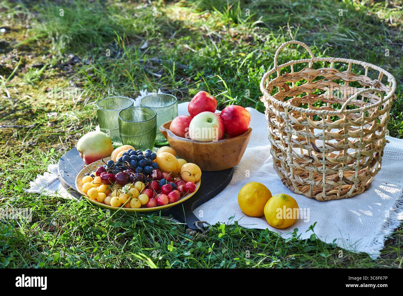 Sommer-Picknick mit frischem Obst, Äpfeln, Trauben, Kirschen, Zitronen und Korb auf einer Decke im grünen Gras. Entspannende Outdoor-Szene, gesundes Essen, Stockfoto