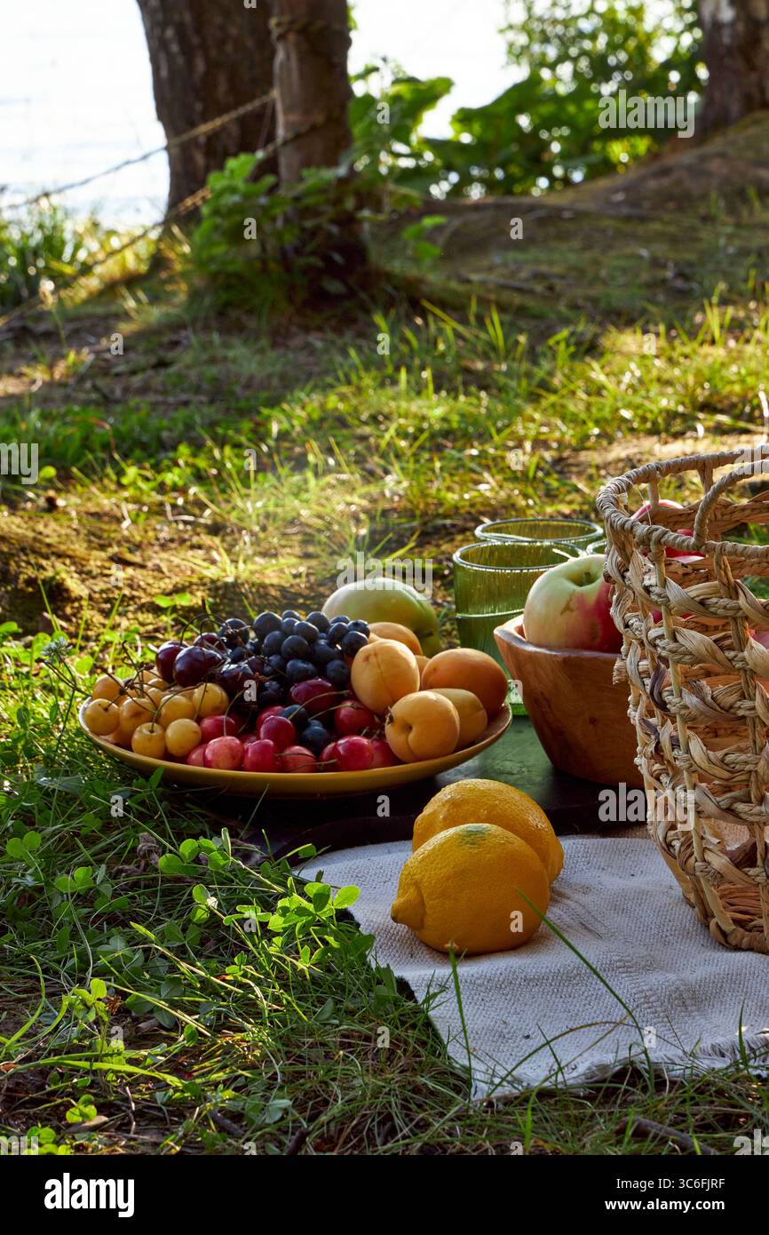 Sommer-Picknick mit frischem Obst, Äpfeln, Trauben, Kirschen, Zitronen und Korb auf einer Decke im grünen Gras. Entspannende Outdoor-Szene, gesundes Essen, Stockfoto