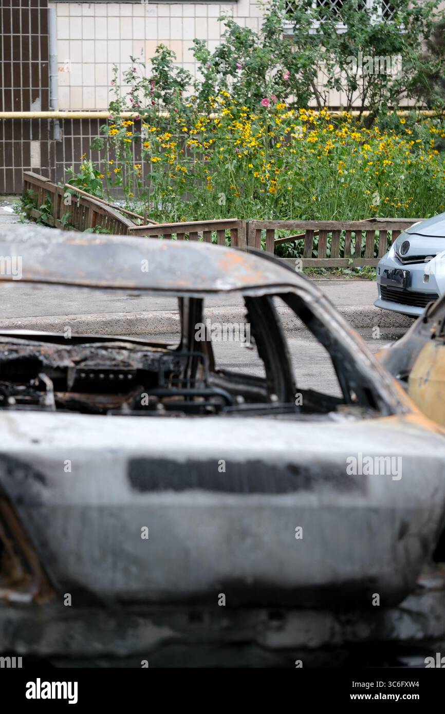 Ein verkohltes Auto steht inmitten von sonnendurchfluteten Blumen in einem verlassenen Stadtgebiet und offenbart Vernachlässigung. Stockfoto