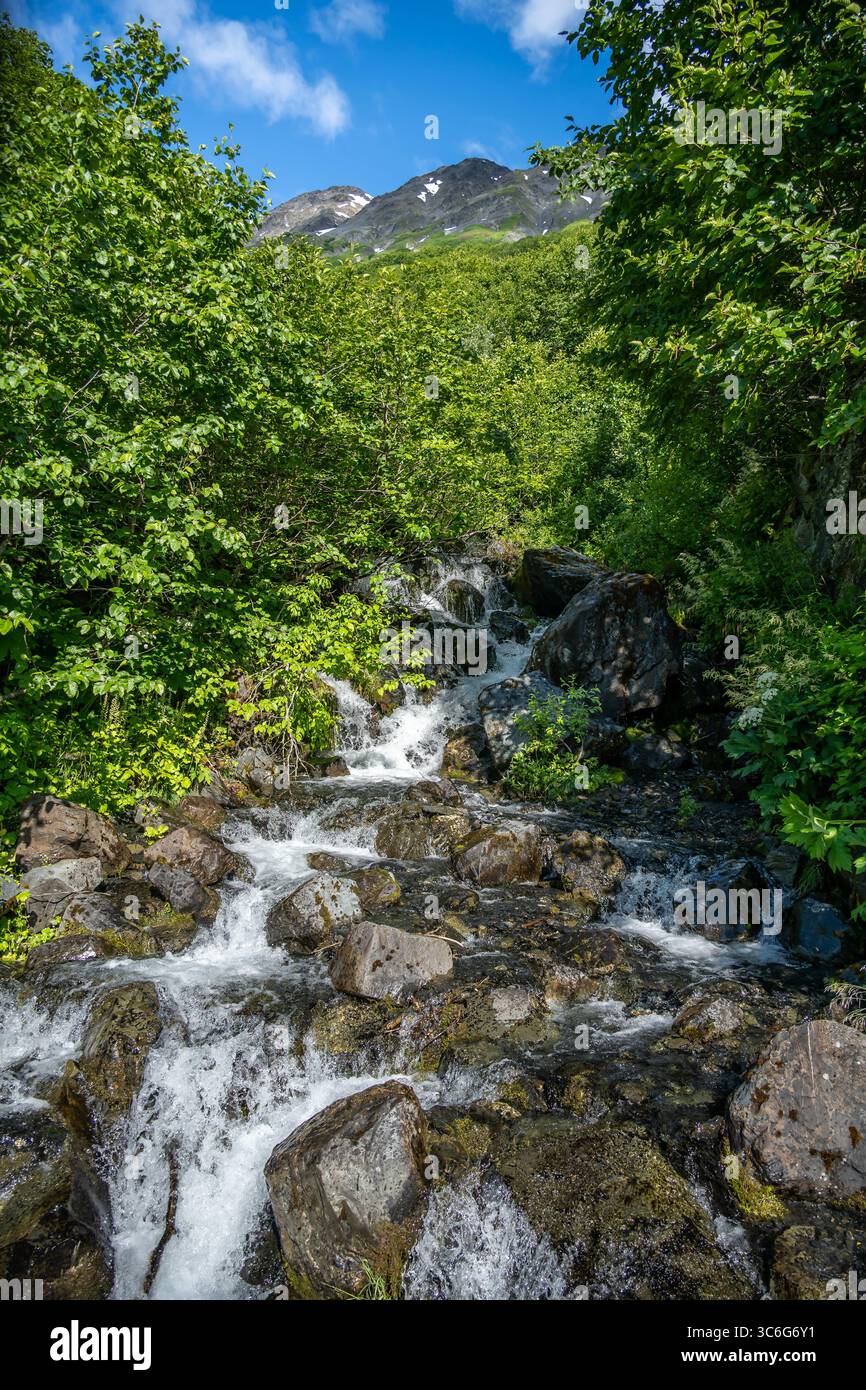 Wasserfall, Harding Icefield Trail, Kenai Fjords National Park, Alaska. Stockfoto