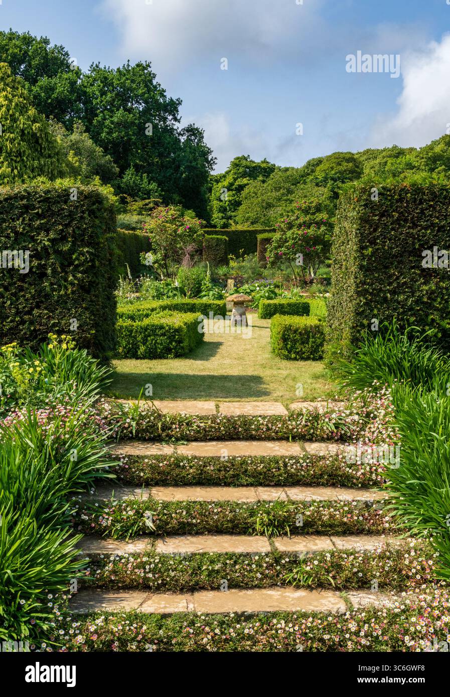 Steintreppen führen zu Sträuchern in einem Hecken-Blumengarten auf der Isle of Wight Stockfoto Steintreppen führen zu Sträuchern in einem Hecken-Blumengarten auf der Isle of Wight Stockfoto