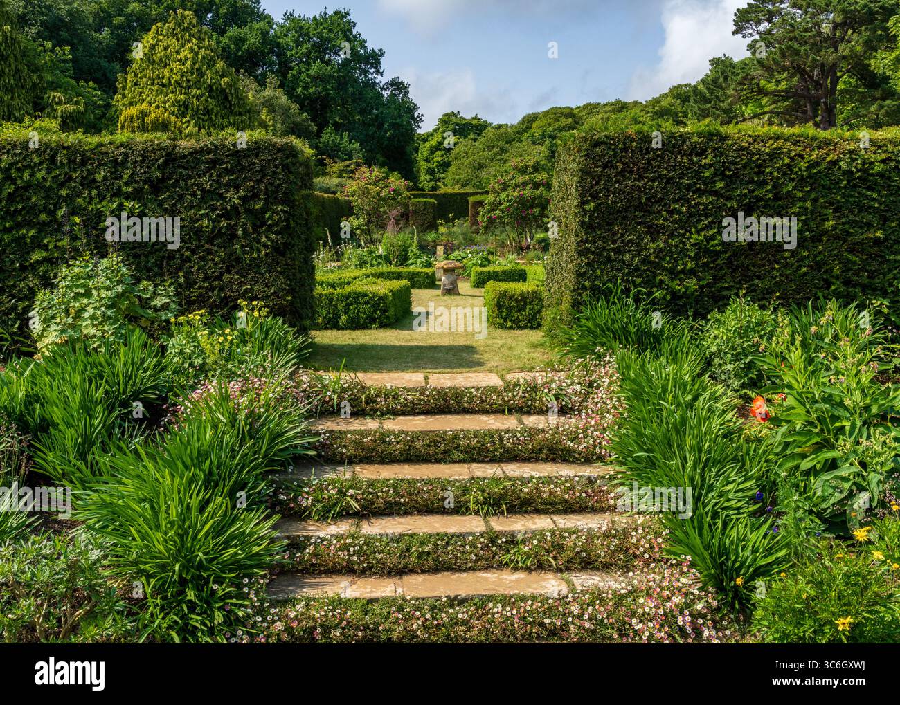 Steintreppen führen zu Sträuchern in einem Hecken-Blumengarten auf der Isle of Wight Stockfoto Steintreppen führen zu Sträuchern in einem Hecken-Blumengarten auf der Isle of Wight Stockfoto