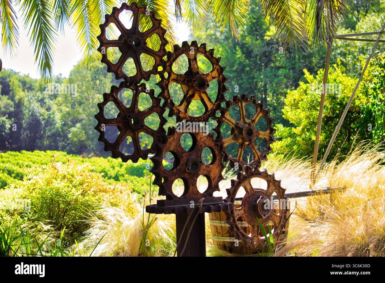 Maßgefertigte Kunstwerke aus alten Traktorzahnrädern an einem wunderschönen Ort, an dem Sie auf einem Weinberg genießen können Stockfoto
