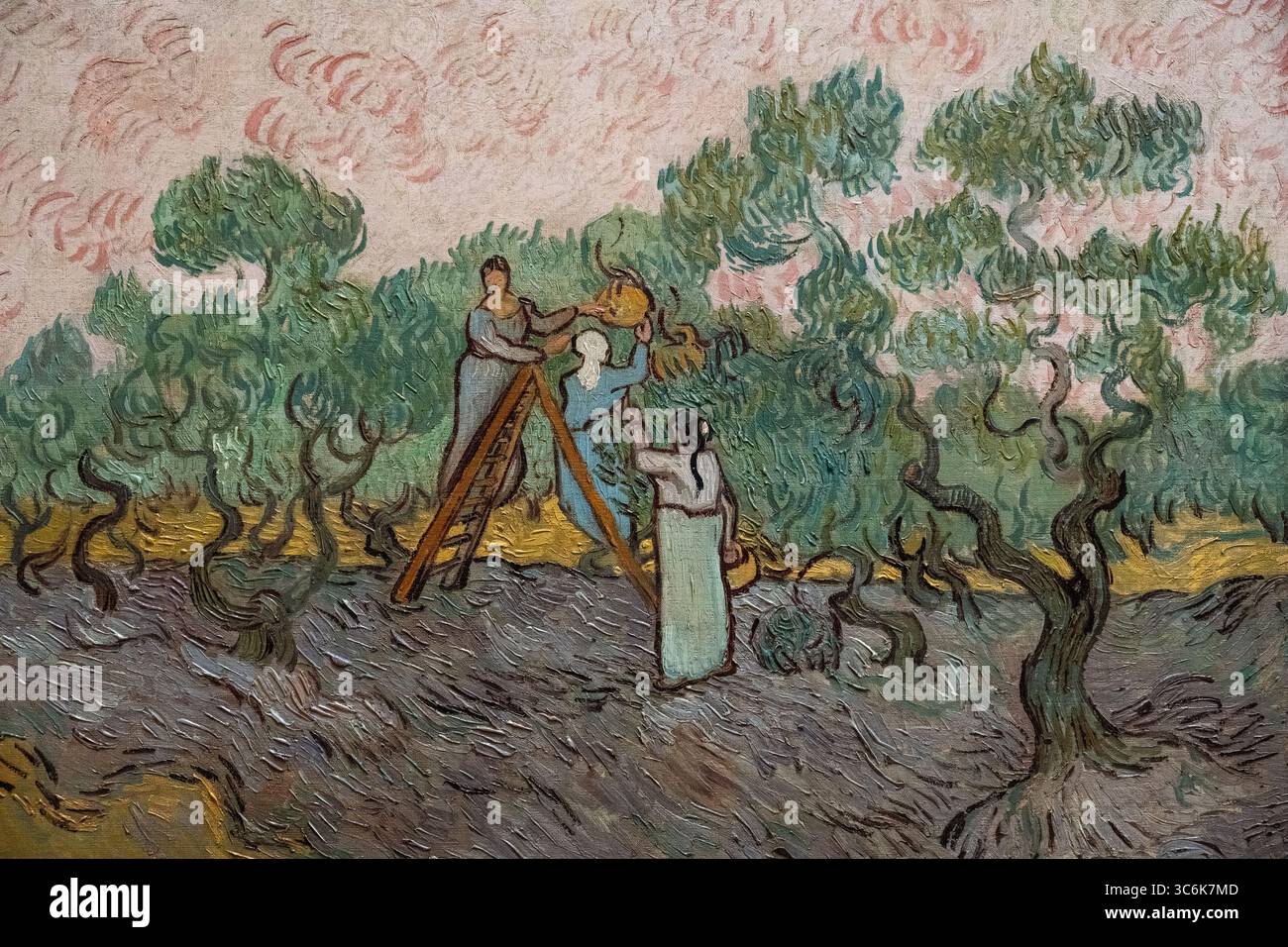 Gemälde namens Women Picking Olives von Vincent van Gogh im New York MET Art Museum Stockfoto