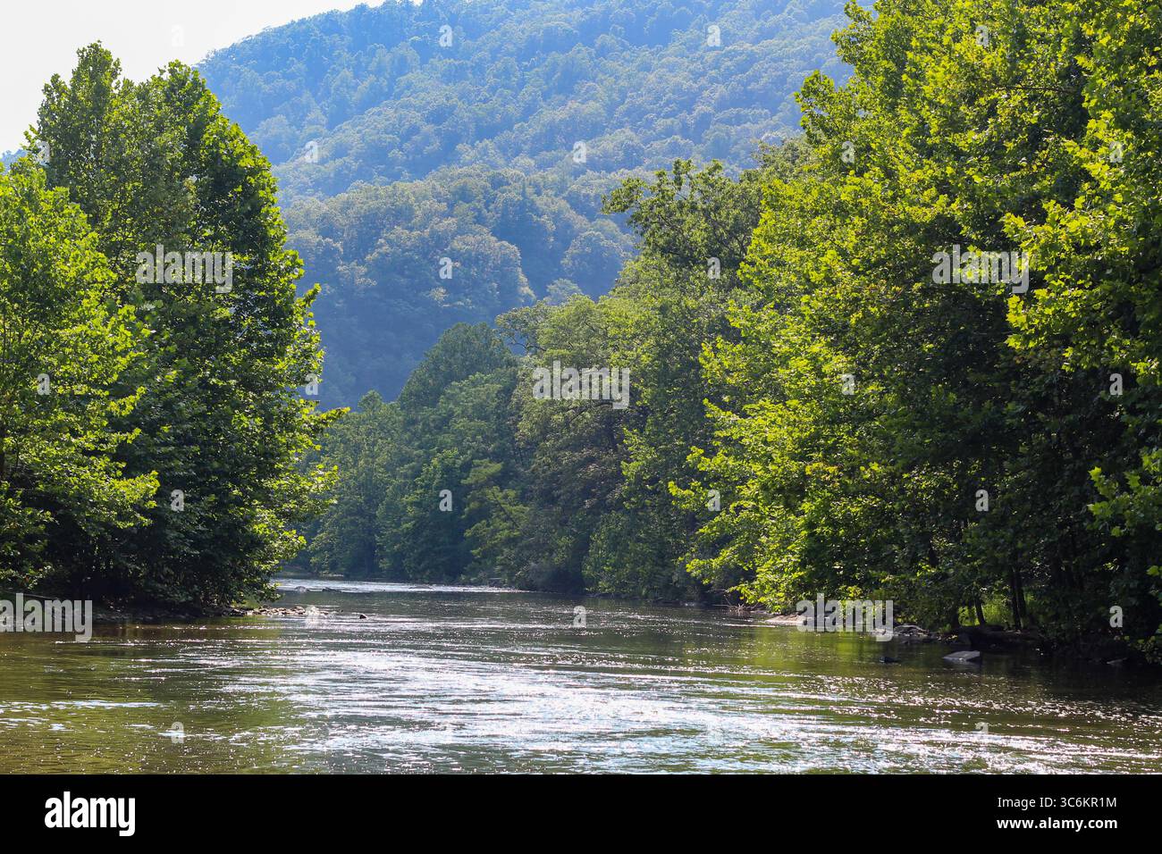 Malerischer Blick auf den South Branch Potomac River im Monongahela National Park Stockfoto