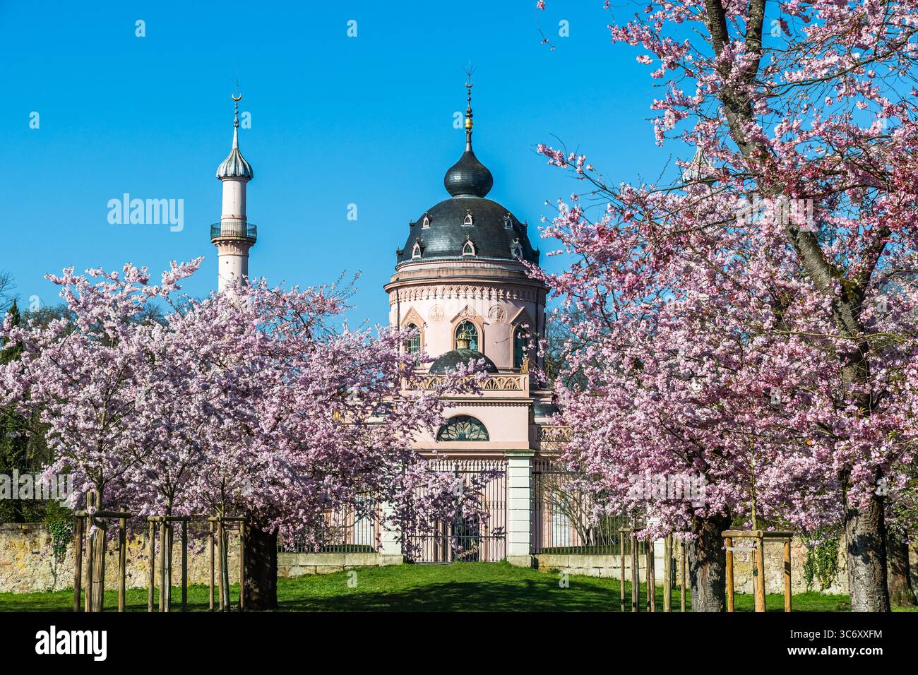 Blühende Kirschbäume vor der rosa Moschee im Schlosspark Schwetzingen. Blauer Himmel, sonniger Frühlingstag, Kopierraum. Stockfoto
