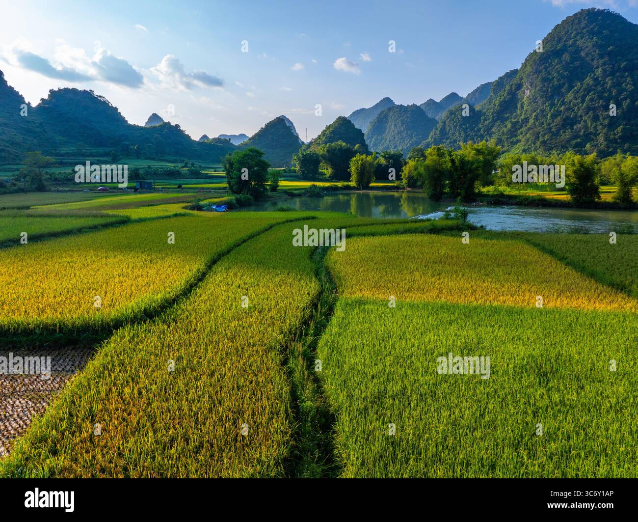 Aus der Vogelperspektive des Phong Nam-Tals, Provinz Cao Bang, Vietnam mit Fluss, Natur, Reisfeldern, wunderschönes Reiseziel in Nordvietnam. Reise und lan Stockfoto