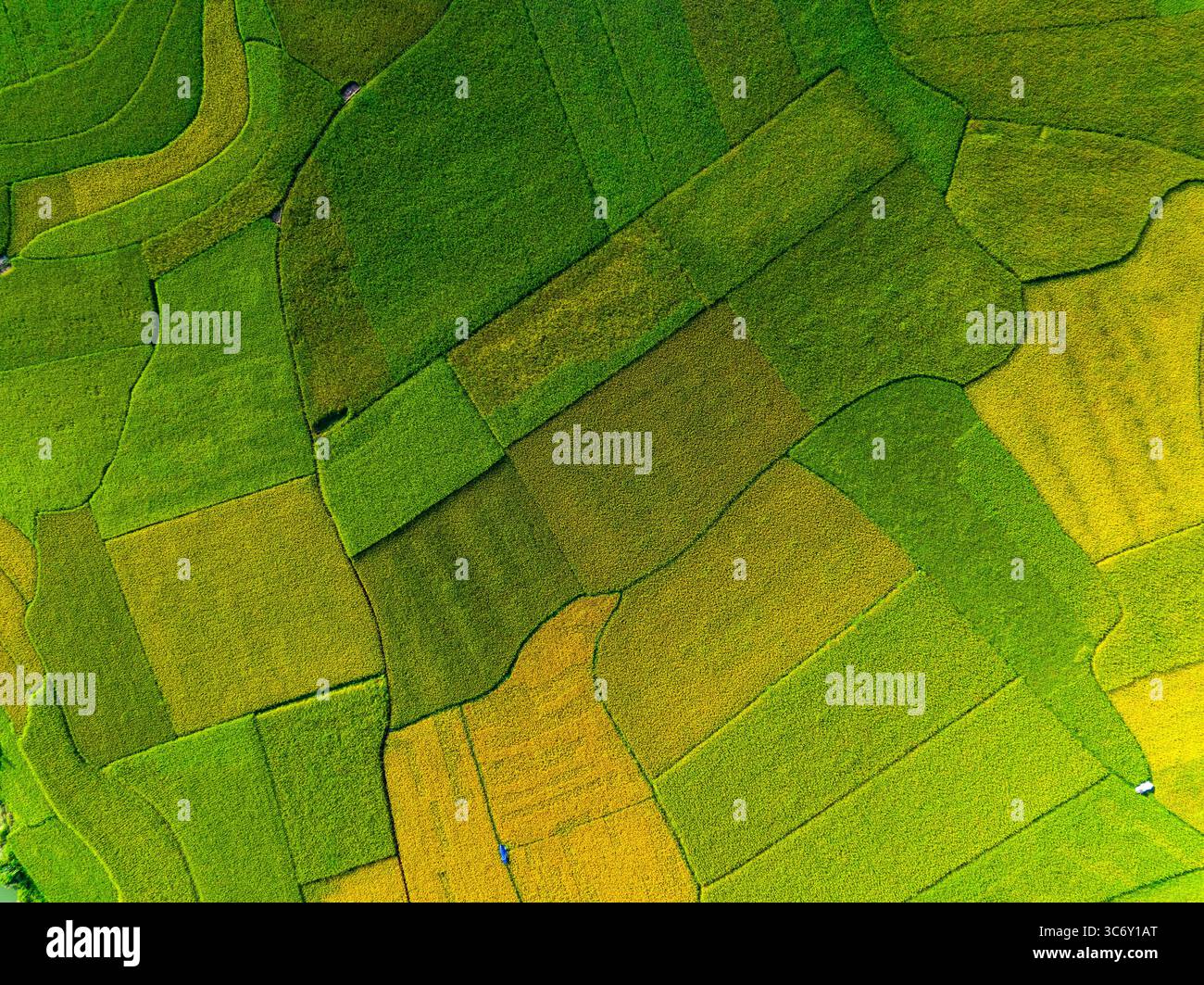 Aus der Vogelperspektive des Phong Nam-Tals, Provinz Cao Bang, Vietnam mit Fluss, Natur, Reisfeldern, wunderschönes Reiseziel in Nordvietnam. Reise und lan Stockfoto