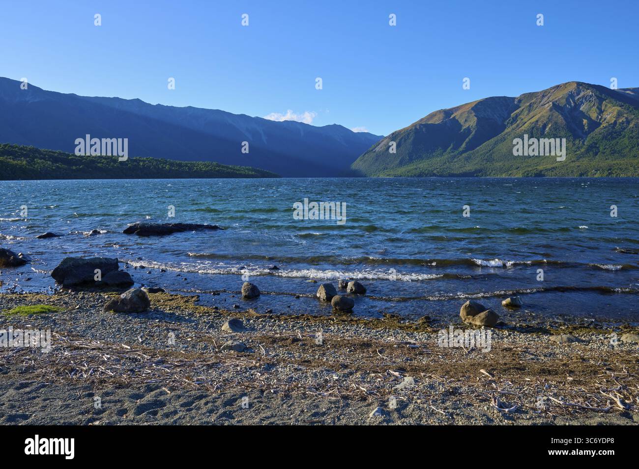 Wellen stürzen an einem Kieselstrand, umgeben von beeindruckenden Bergen und klarem blauem Himmel, Sommer, Lake Rotoiti, Saint Arnaud, Tasman Region, Süden Ist Stockfoto