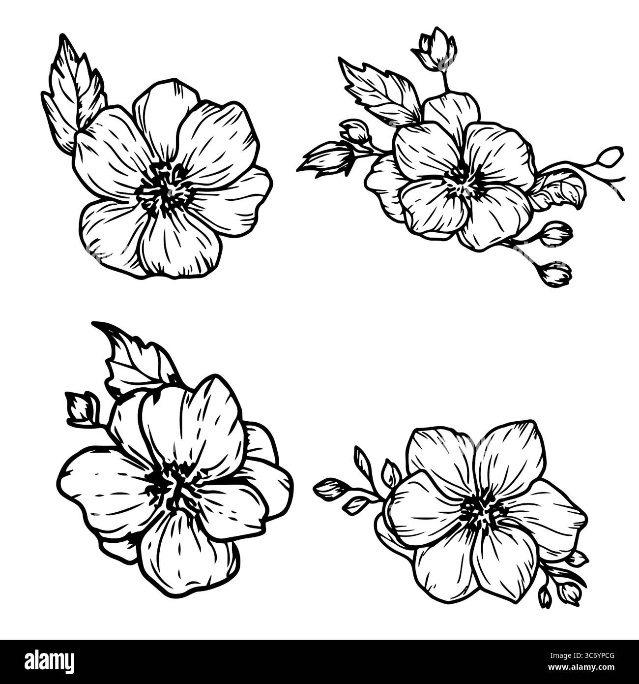 Ein Blumenstrauß mit zarten Blütenblättern, Knospen und Frühlingsblättern, eine Reihe von Silhouetten, eine schwarz-weiße Skizze. Vektorabbildung. Ein Zweig Wil Stock Vektor