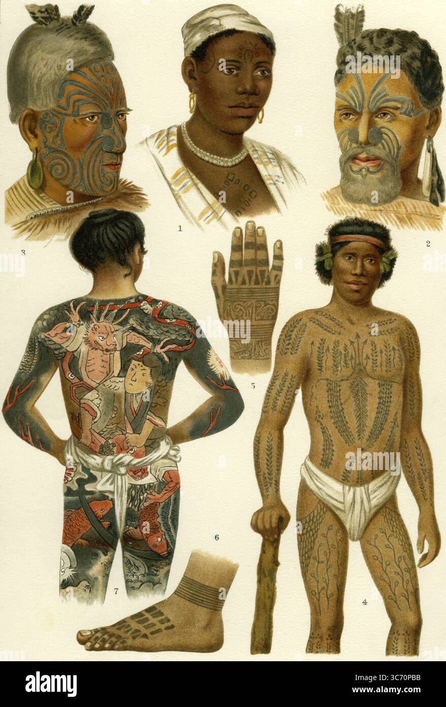 Tätowierung. 1903 ethnische Tätowierungen. 1. Negress 2, Neuseeländischer Häuptling 3. Neuseeland King 4. Caroline Islander 5 & 6. Hand und Fuß von Dayak von Borneo. 7. Japanisch. Stockfoto