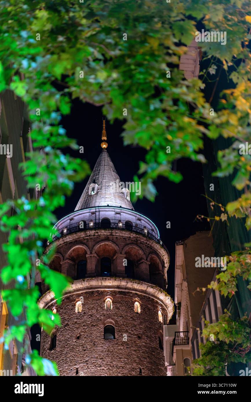 Galatenturm, der nachts aus grünen Blättern in Istanbul, Türkei, auftaucht Stockfoto