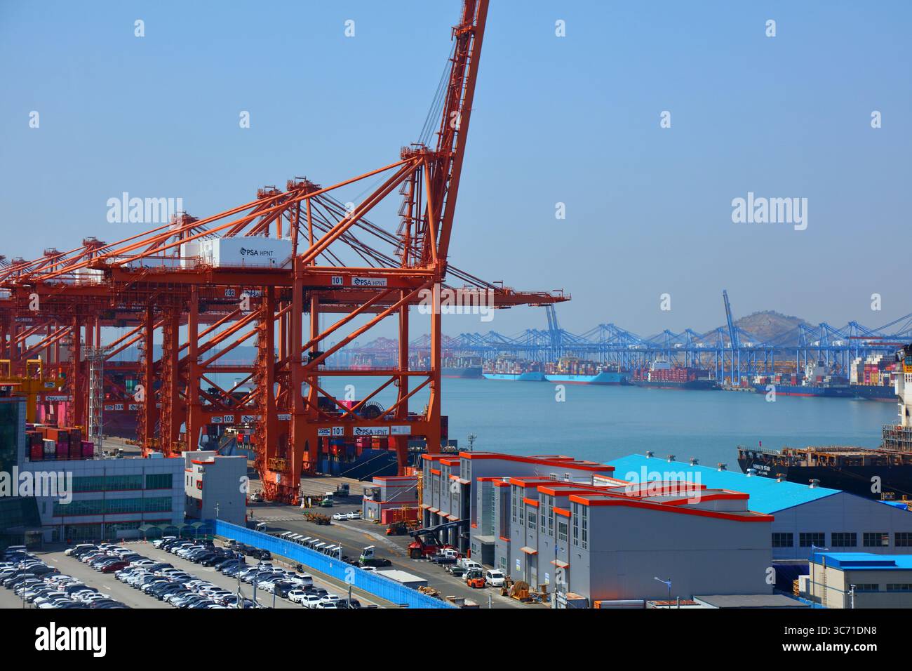 BUSAN, SÜDKOREA - 31. MÄRZ 2023: Busan New Port, auch bekannt als Pusan Newport International Terminal. Neues Containerterminal in Seongbuk-dong Stockfoto