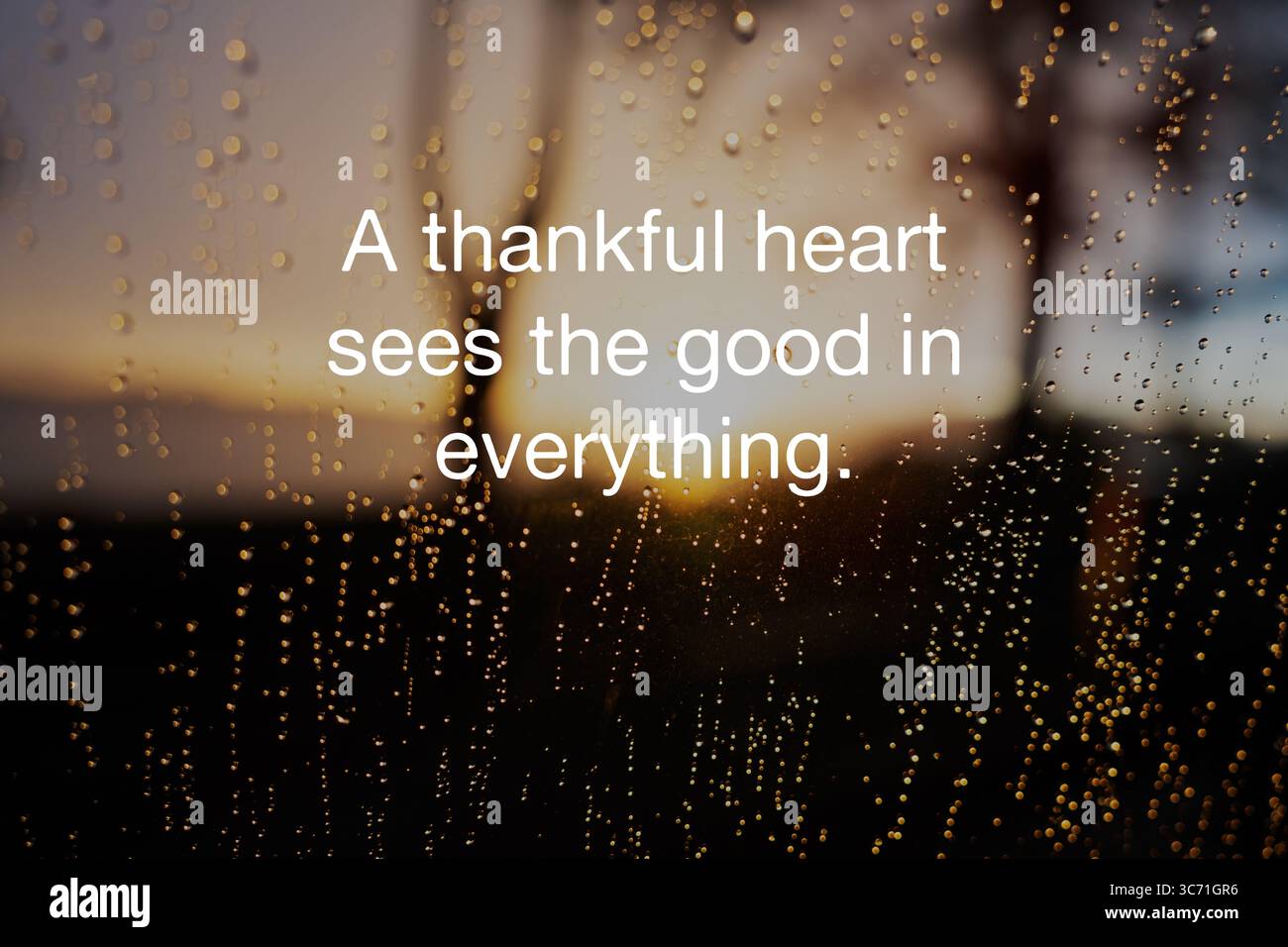 Dankbar, Dankbarkeit, Inspirierend, Zitat, Einzeln, Wort, Balance, Gesund, Lebensstil, Lebensstil, Neu, Leben, Konzepte, Spiritualität, Wohlbefinden, Backgr Stockfoto Dankbar, Dankbarkeit, Inspirierend, Zitat, Einzeln, Wort, Balance, Gesund, Lebensstil, Lebensstil, Neu, Leben, Konzepte, Spiritualität, Wohlbefinden, Backgr Stockfoto
