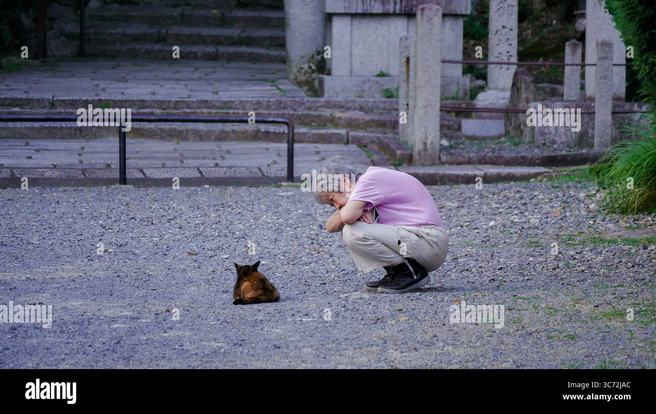 Ein älterer Mann, der in einem friedlichen Moment eine streunende Katze in einem japanischen Tempel in Kyoto, Japan, beobachtet Stockfoto