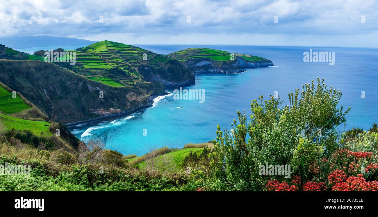 Oastline, Ozean, Blumen, Landschaft, Panorama, Skyline, azoren, St. miguel, blau, Wasser, Meer, Meereslandschaft, Natur, Vegetation, tropisch, keine Leute, reisen Stockfoto