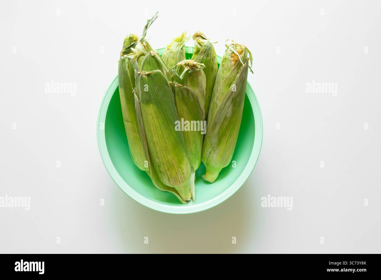 Frische Maiskolben in der Schale in grüner Plastikschale auf weißem Hintergrund, Gemüse, Bauernhof, isoliert, Blick von oben Stockfoto