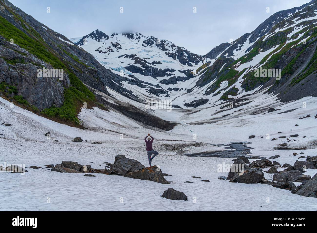 Glacier Yoga Tree Pose wird im Kenai Fjords National Park gezeigt. Der Park wurde 1980 gegründet und schützt das Harding Icefield und dessen Ausfluss Stockfoto