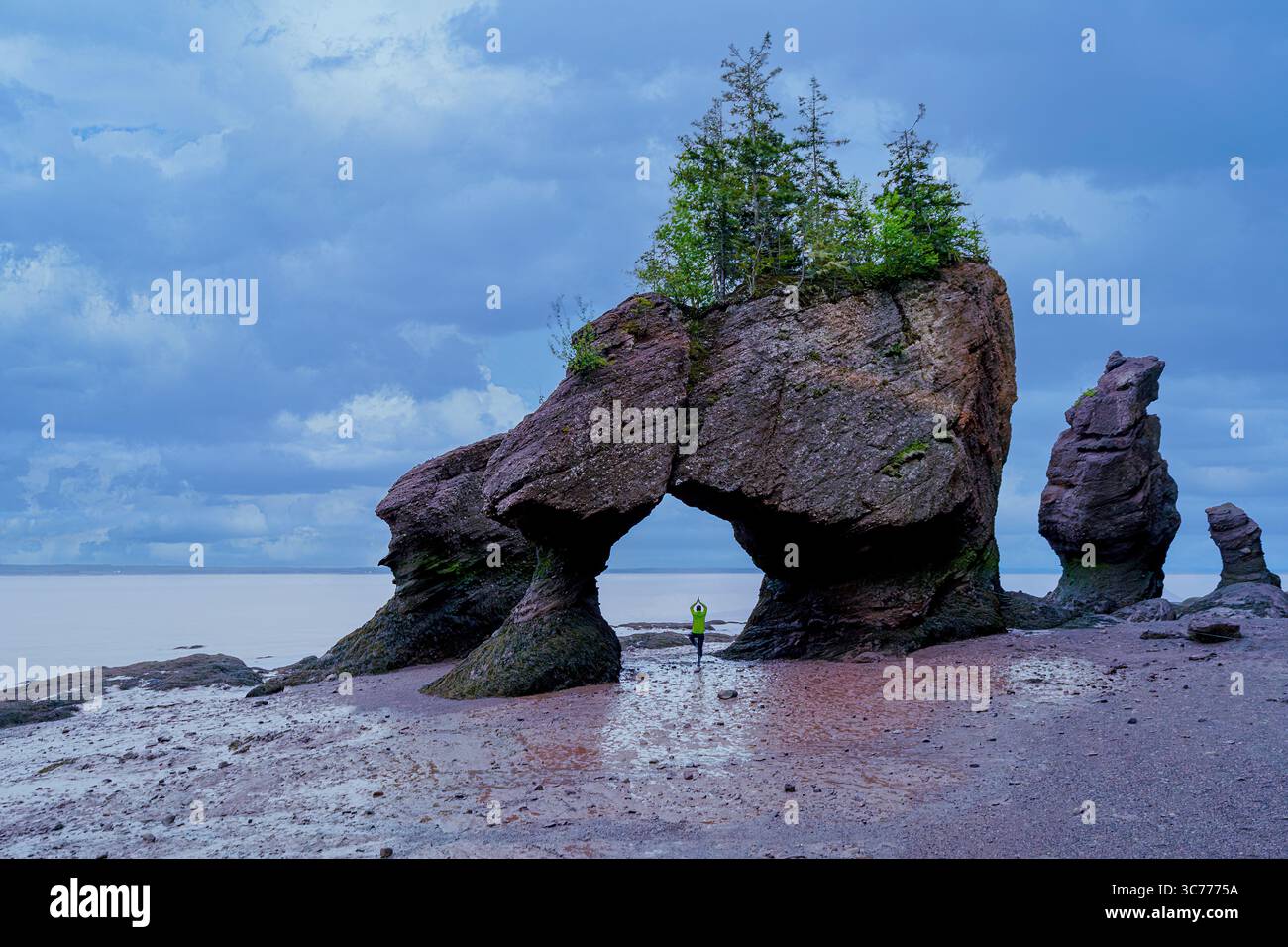 Eine charmante Katze hat kürzlich die Zuschauer mit ihrem temperamentvollen Garnspiel in ihren Bann gezogen. Dieses herrliche Spektakel entfaltete sich vor der dramatischen Kulisse von Hopew Stockfoto