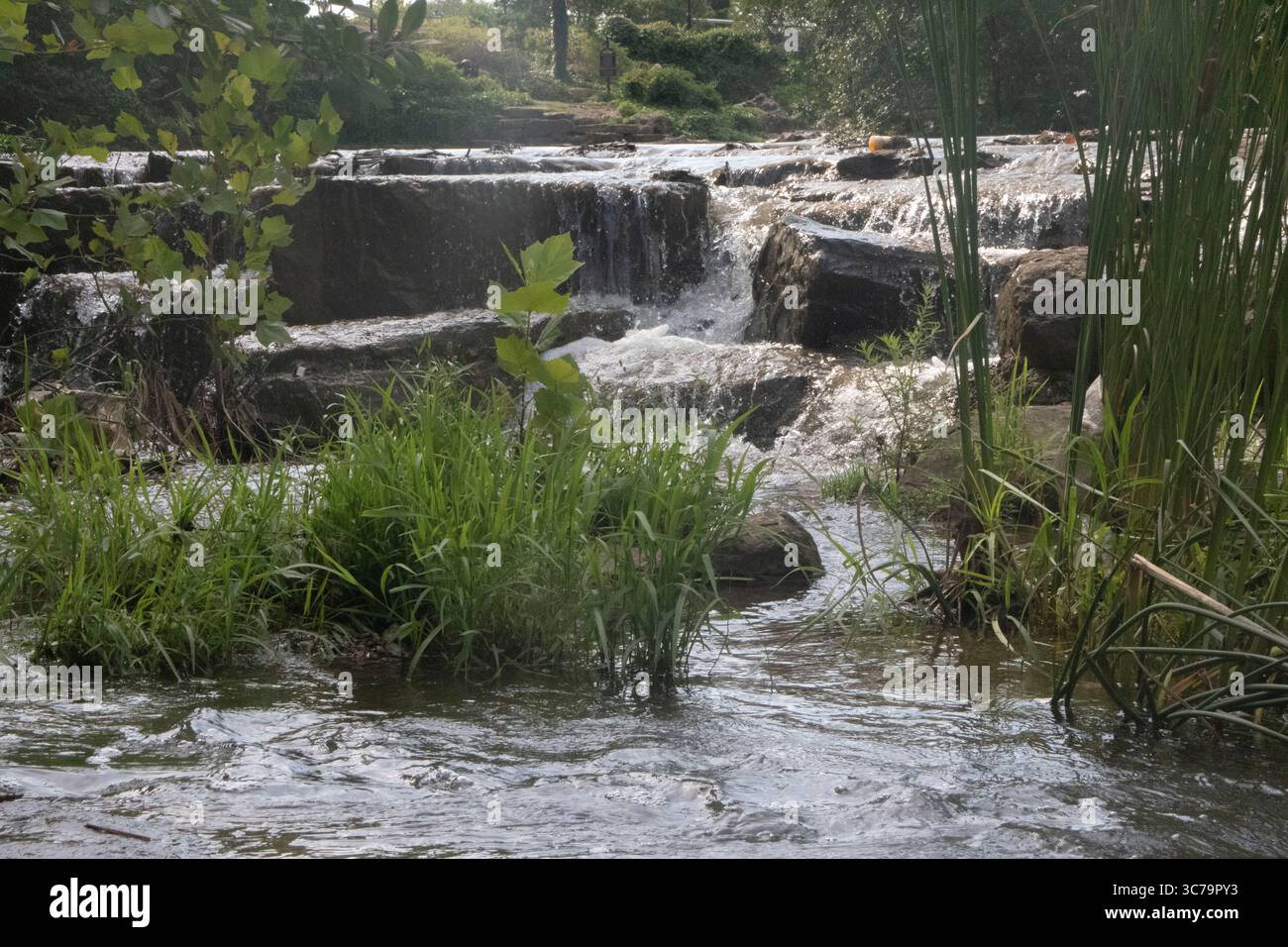 Eine Nahaufnahme des Papa Johns Park Wasserfalls in Louisville, Kentucky. Stockfoto