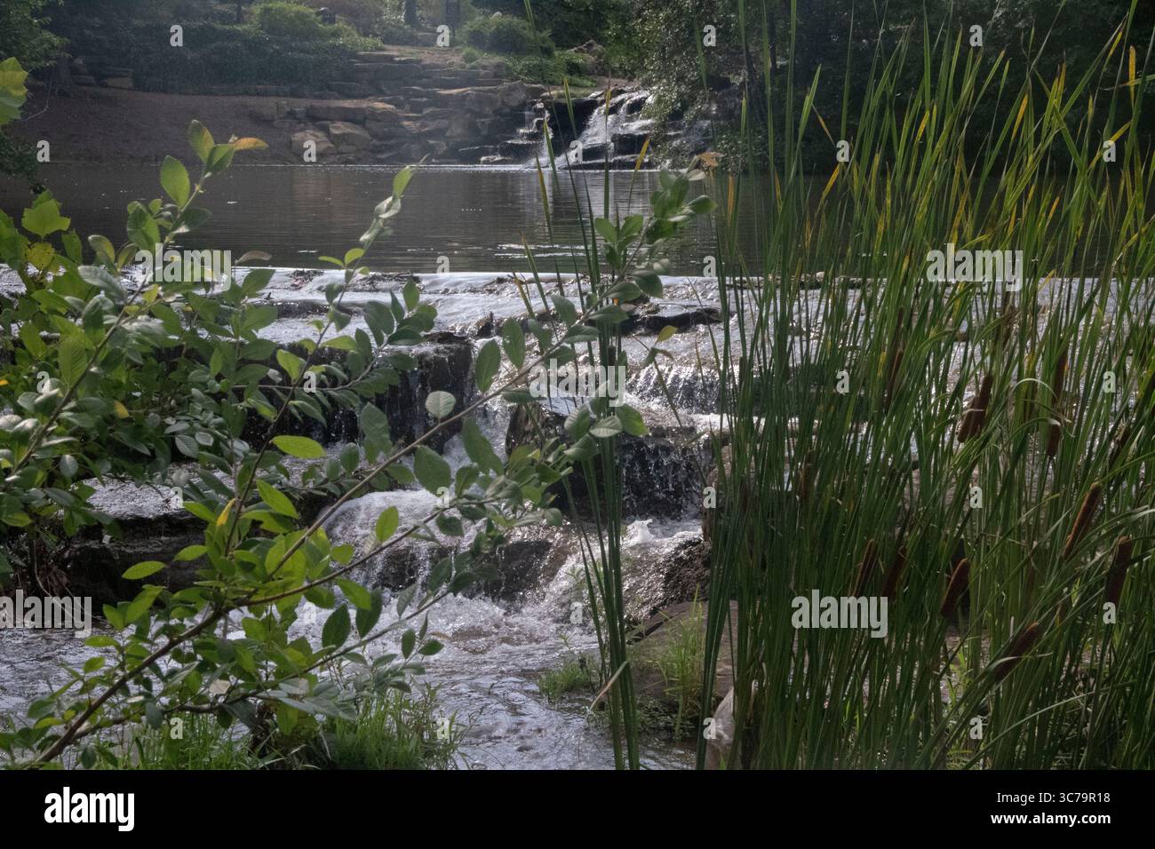 Eine visuelle Szene des Papa Johns Park Wasserfalls in Louisville, Kentucky. Stockfoto