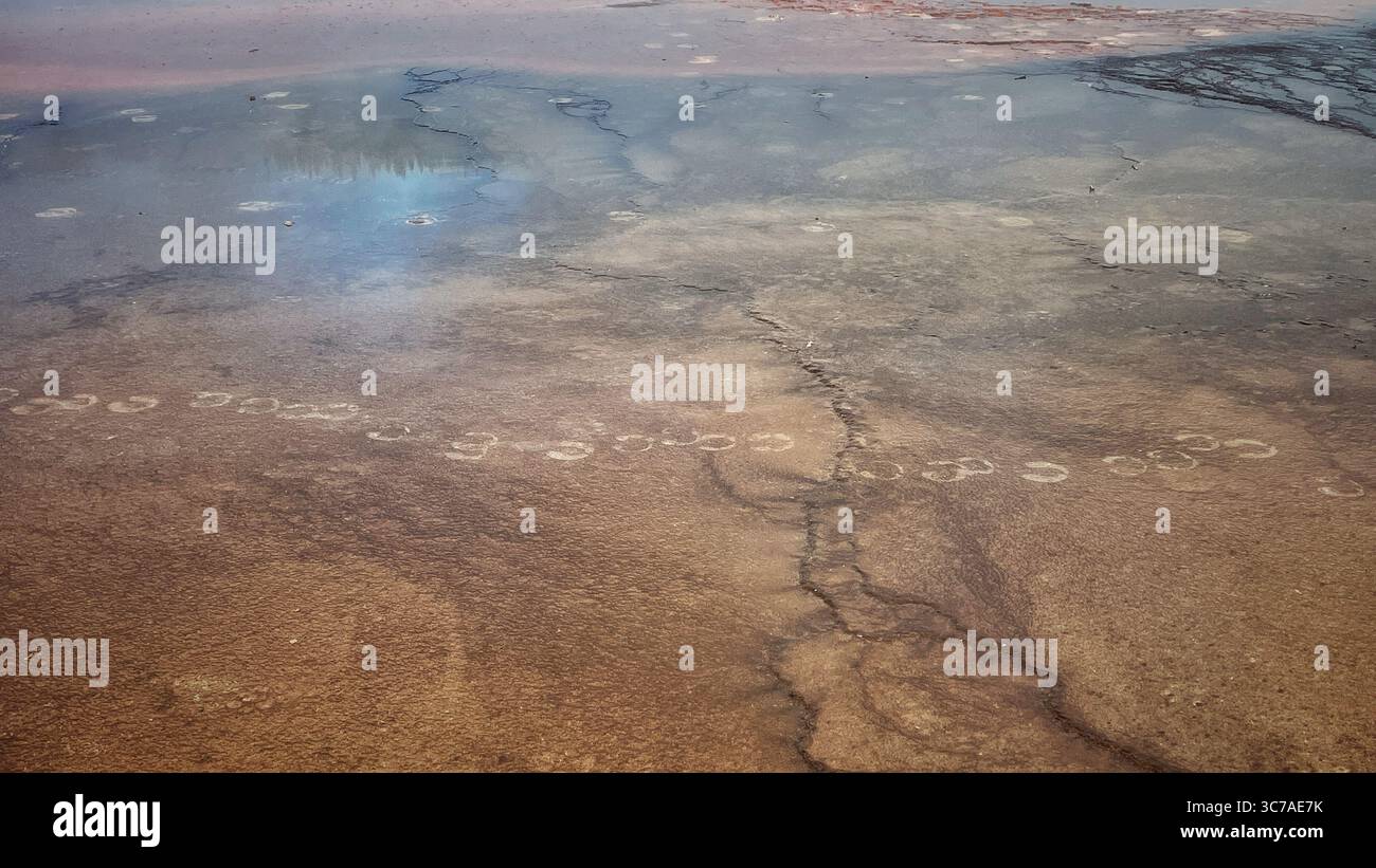 Das Bild zeigt eine Nahaufnahme eines geothermischen Bereichs mit interessanten Mustern und Texturen. Stockfoto