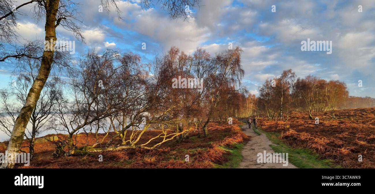 Winterspaziergang am Froggatt Edge, Derbyshire - Smartphone-aufgenommenes Stockfoto