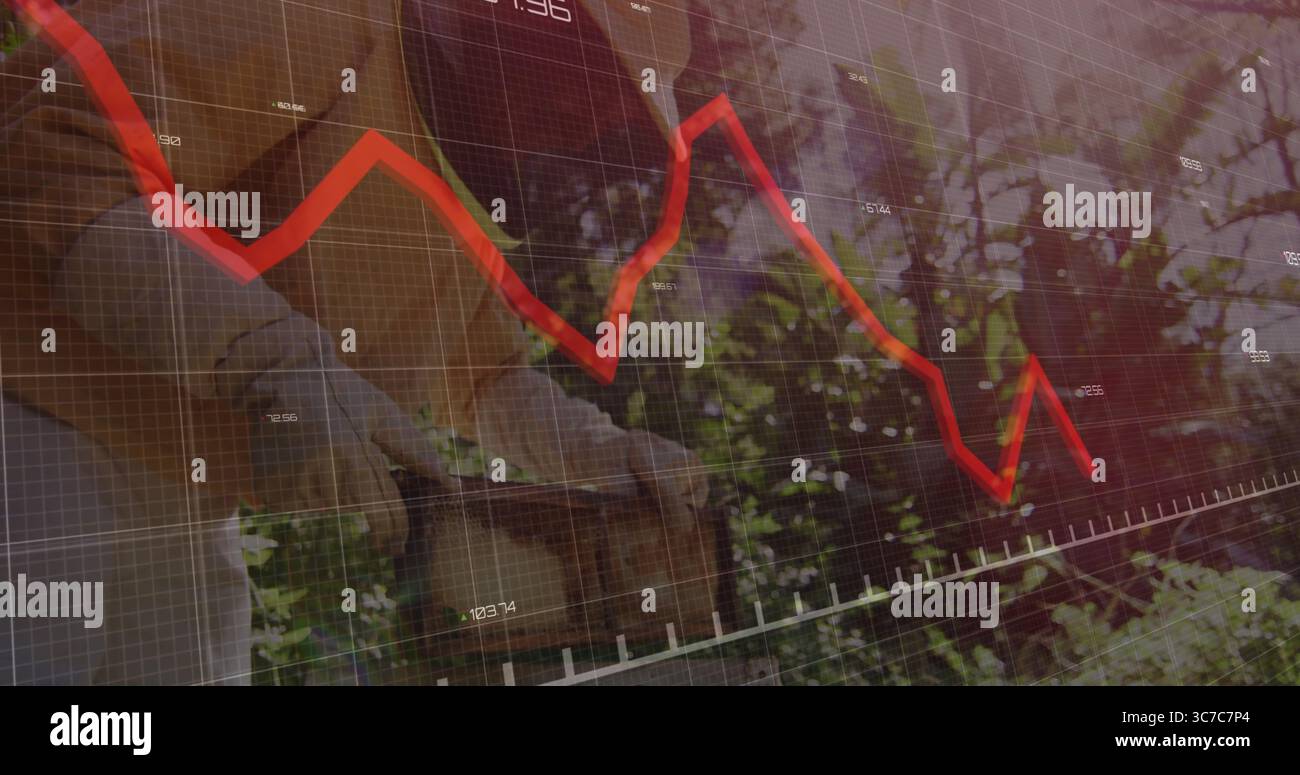 Gärtner trägt Hemd, Handschuhe pflücken im Garten, mit Korb und roter Trendlinie Stockfoto