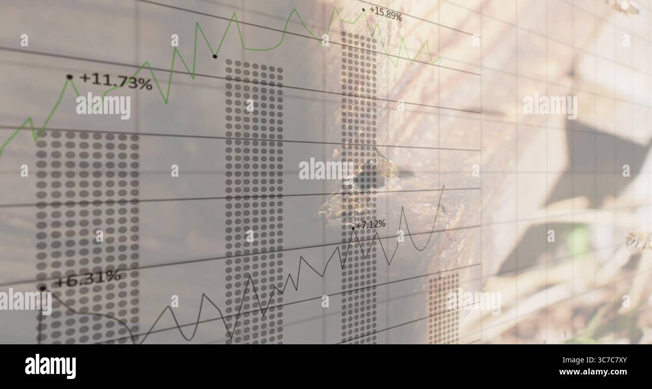 Honigbienen krabbeln auf Bienenenplanken im Bienenhaus, mit Balken- und Liniendiagrammen, die Daten überlagern, Kopierraum Stockfoto