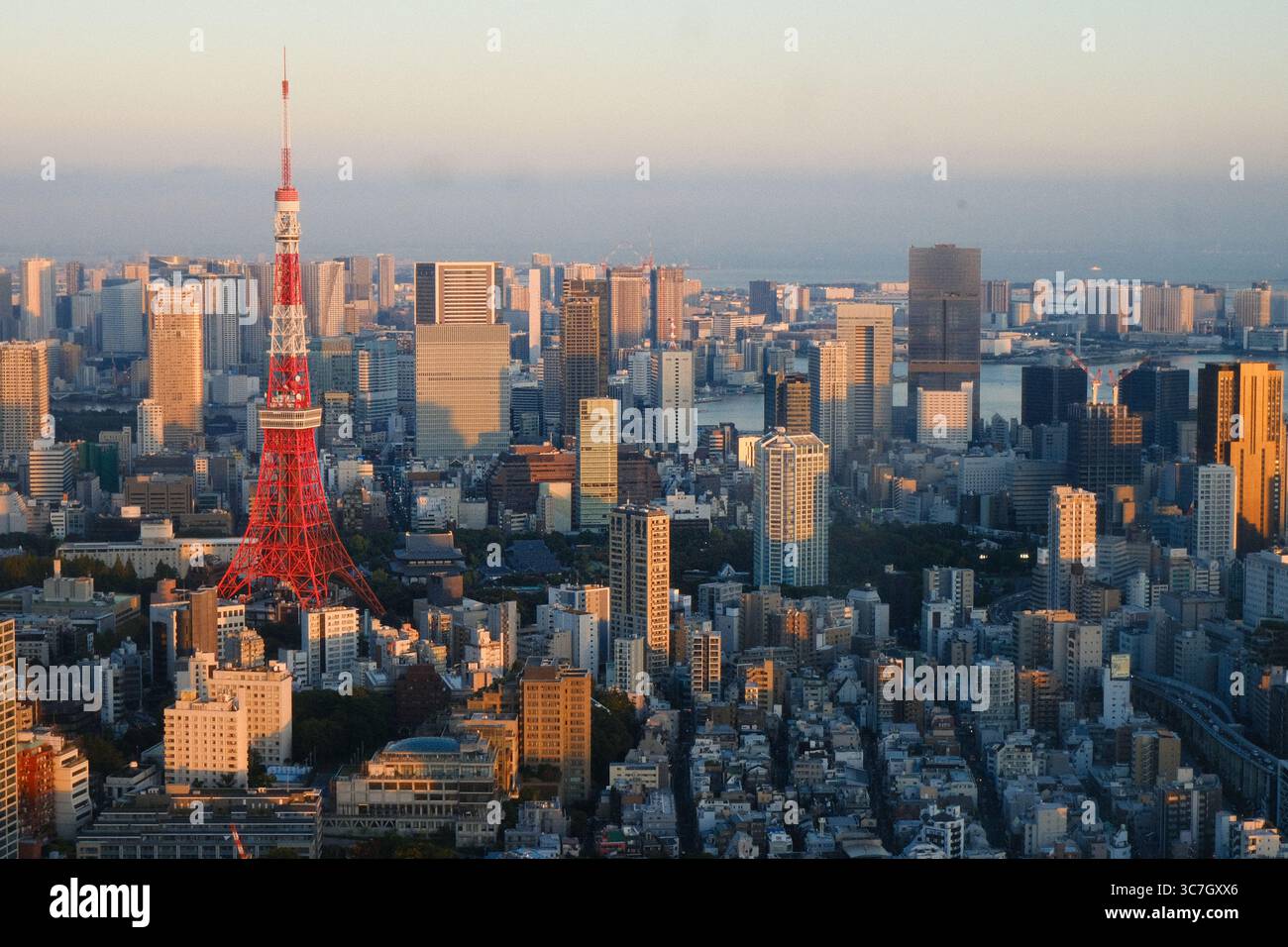 Tokyo Tower und Skyline der Stadt bei Sonnenuntergang, Minato District, Tokio, Japan Stockfoto