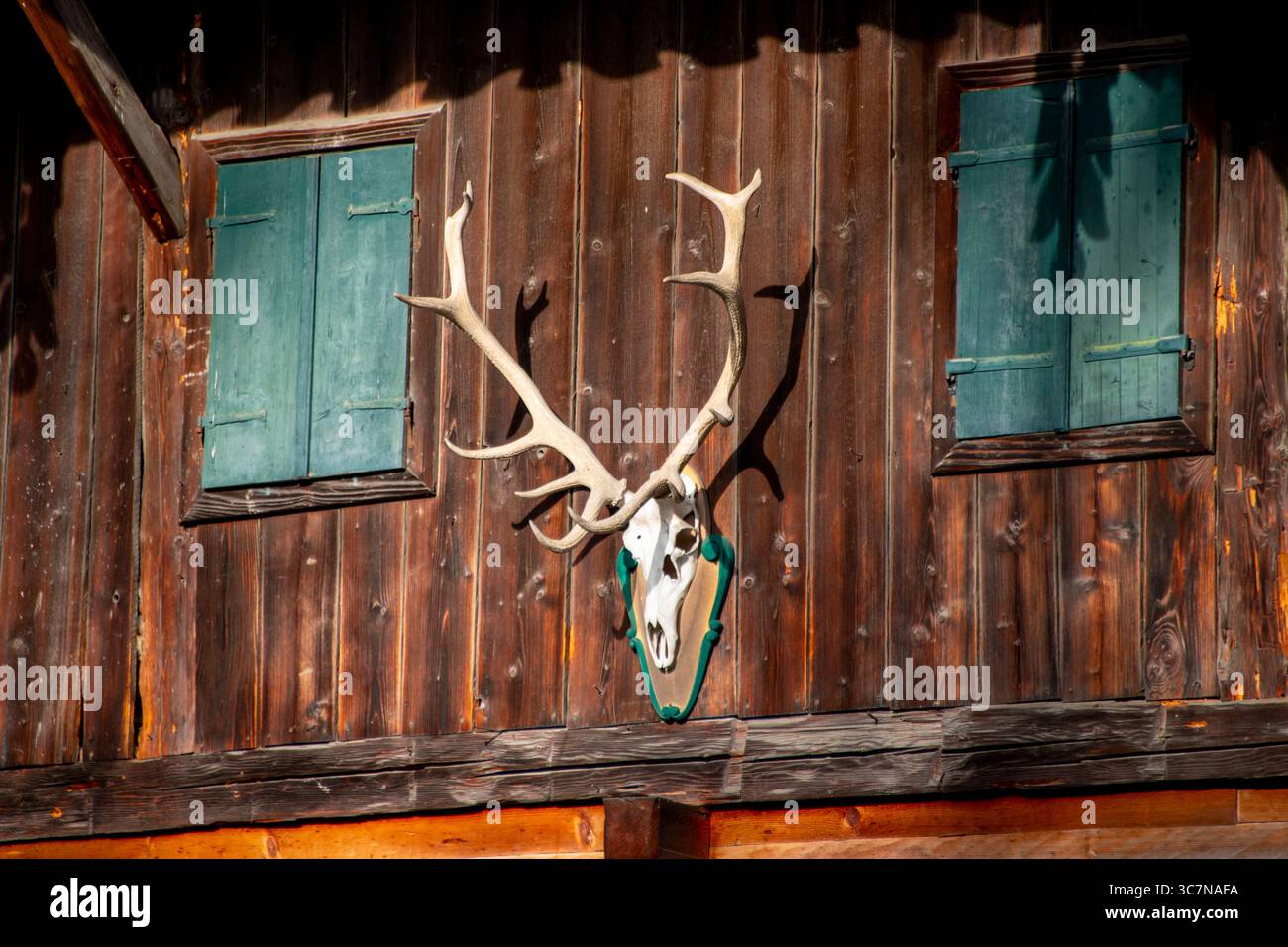 Hirschgeweih auf einer Holzhütte Stockfoto