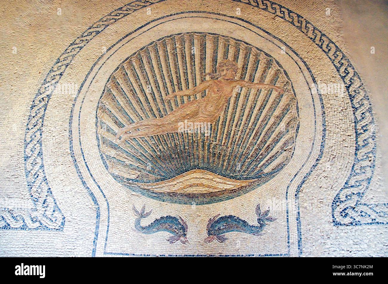 "Geburt der Venus" Mosaik, Afrikahaus, El Djem Archäologisches Museum, El Djem, Gouvernorat Mahdia, Tunesien Stockfoto
