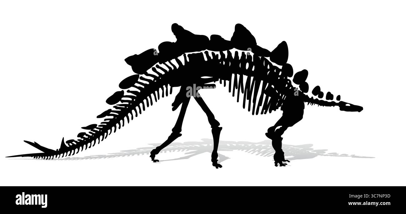 Skelett des Dinosauriers. Stock Vektor