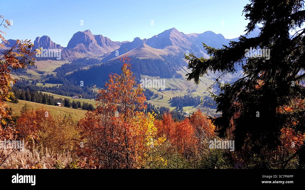 Berglandschaft in den Schweizer Alpen im Herbst mit bunten Bäumen an einem sonnigen Herbsttag, Grantrisch, Schweiz Stockfoto
