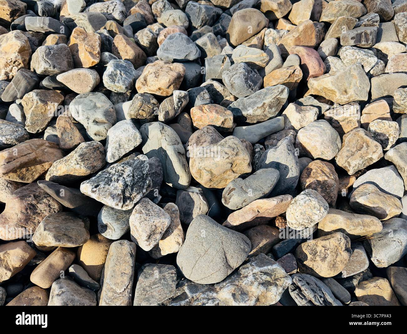 Eine lebendige Sammlung von glatten Flussfelsen zeigt verschiedene Formen und Farben. - Smartphone-aufgenommenes Stockfoto