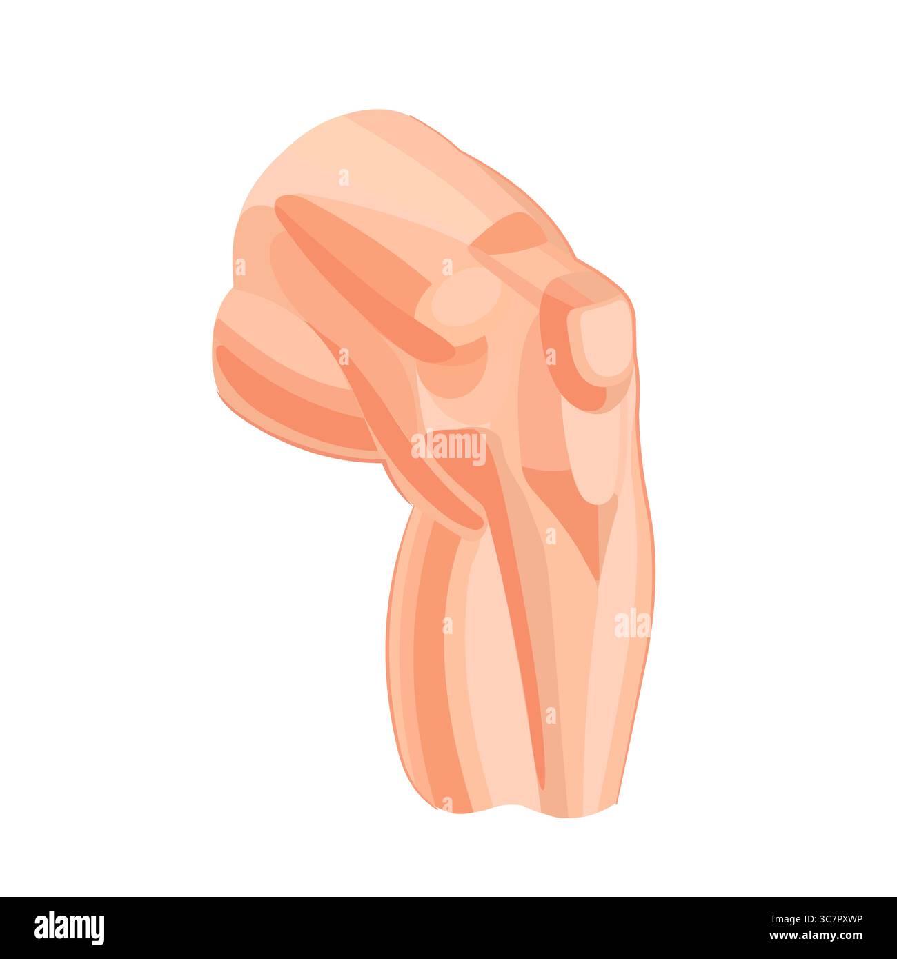 Das menschliche Knie und seine Muskeln. Menschliche Anatomie. Vektorillustration isoliert auf weißem Hintergrund Stock Vektor