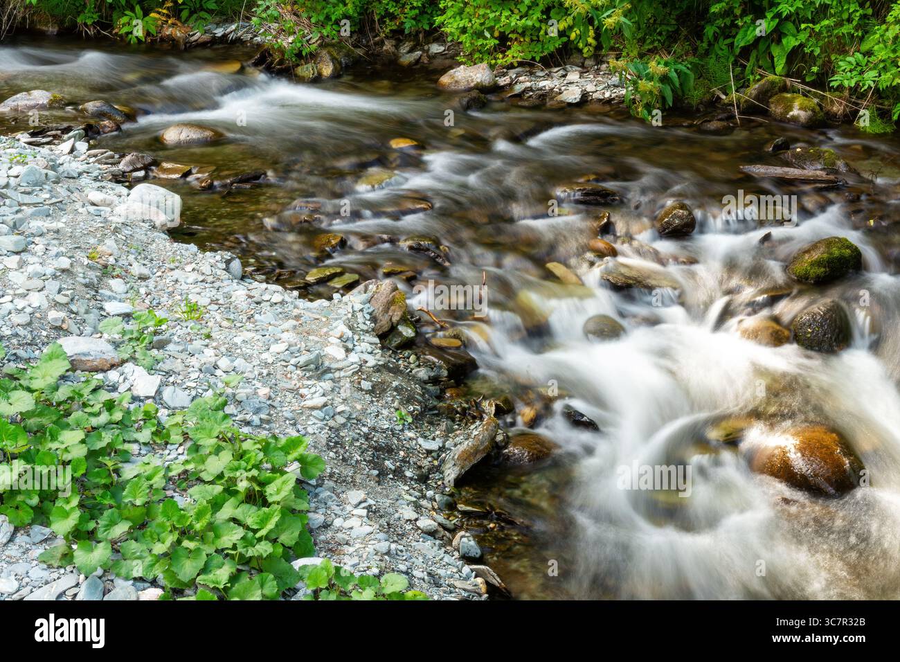 Eine lange Belichtung fängt die seidenweiche Bewegung eines Gebirgsbaches ein, der über Felsen und Steine stürzt Stockfoto