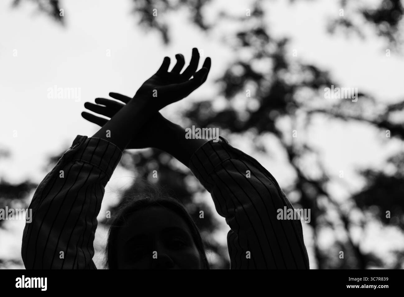 Die Arme überkreuzten sich mit offenen Händen in Richtung Himmel. Die überkreuzten Arme eines Menschen sind von Bäumen und dem Himmel darüber eingerahmt. Frau dehnt sich nach oben Stockfoto