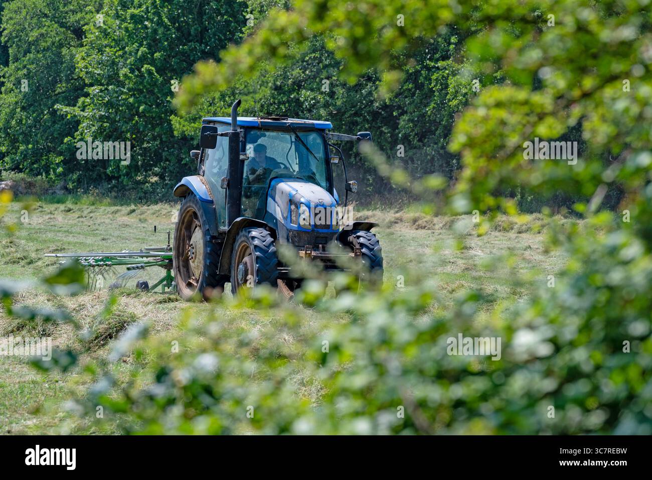 Heuernte Ufford Suffolk England Stockfoto